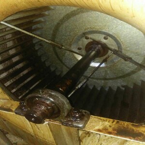 �Ƶ�N�����͟��C��ϴ���